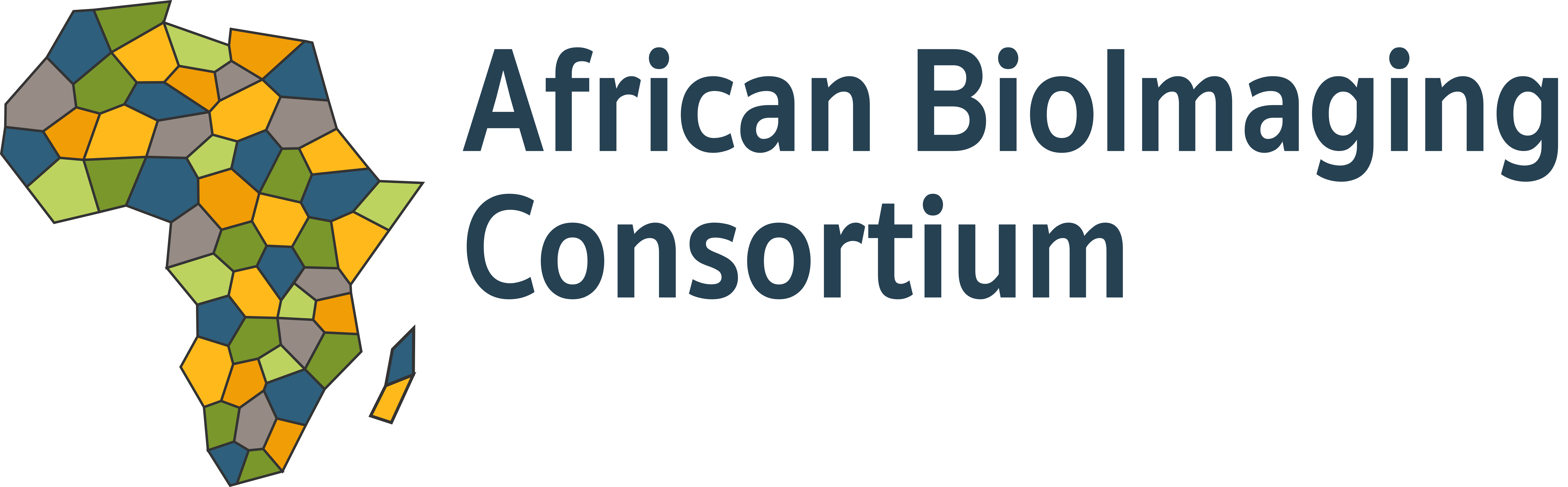 Africa Bioimaging Consortium logo
